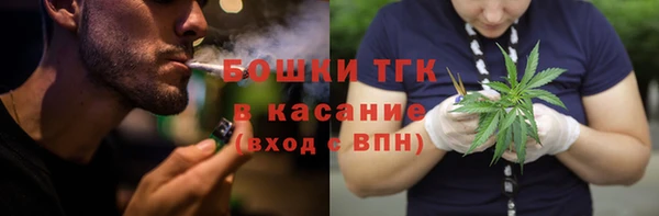 амф Инсар