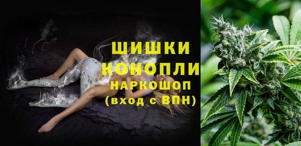 стаф Зеленокумск