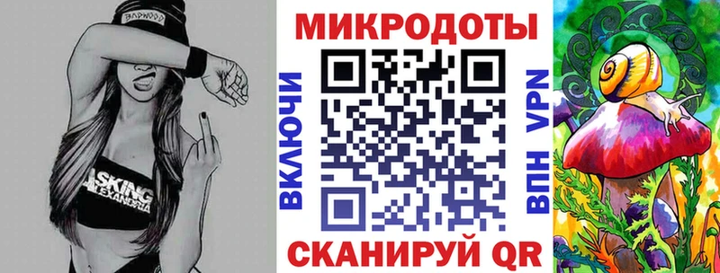 Псилоцибиновые грибы Psilocybe  Купить закладки  Карасук 